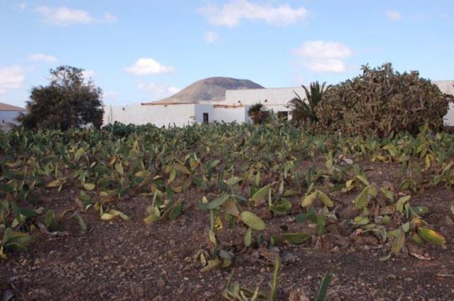Gbh Casas Las Portadas La Oliva Exterior photo