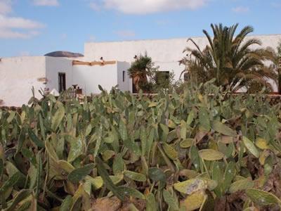 Gbh Casas Las Portadas La Oliva Exterior photo